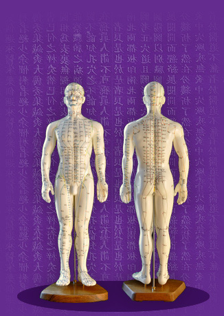 ľudské telo, akupunktúra, rehabilitácia